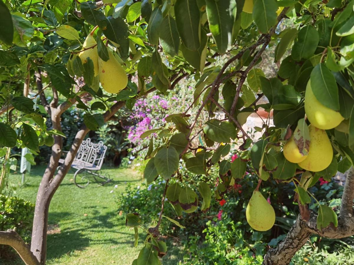 Il Giardino Di Tatiana Rooms & Breakfast La Maddalena  Exterior foto