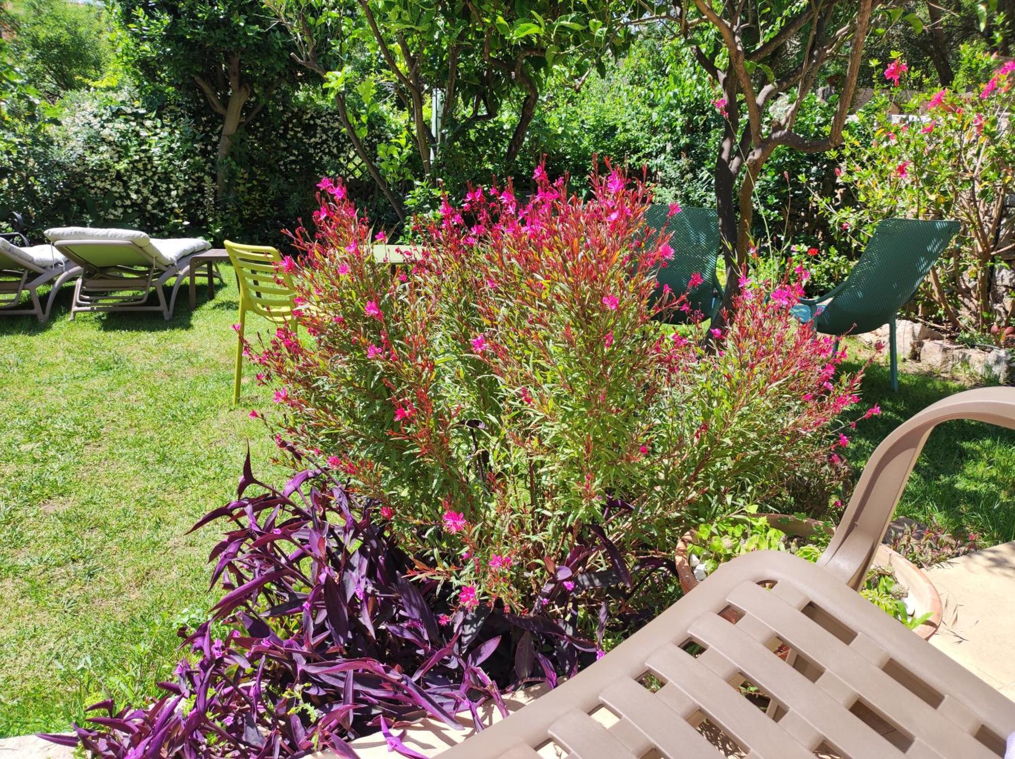 Il Giardino Di Tatiana Rooms & Breakfast La Maddalena  Exterior foto