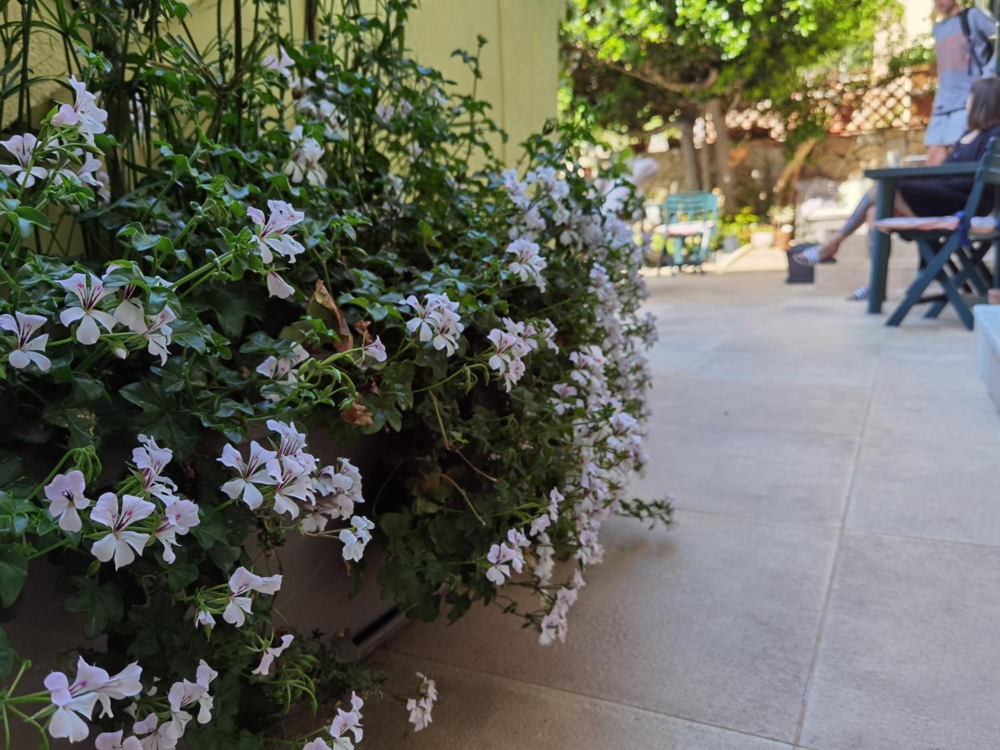 Il Giardino Di Tatiana Rooms & Breakfast La Maddalena  Zimmer foto