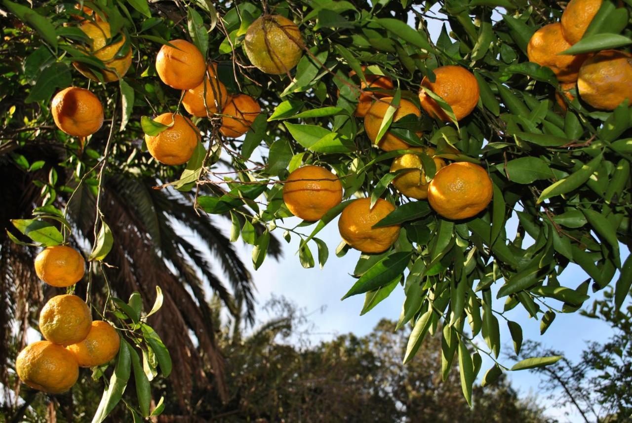 Il Giardino Di Tatiana Rooms & Breakfast La Maddalena  Exterior foto